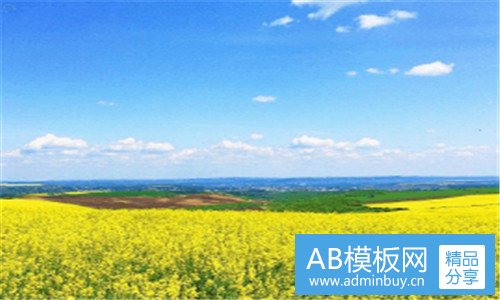 二五个感官动词造句