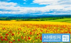 雷达表-雷达与浪琴哪个档次高