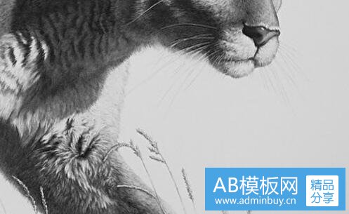 二三维城市建模步骤