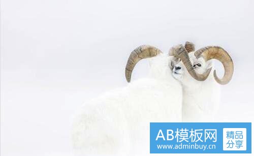 二上海孤儿院义工招募