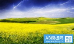 tpos-tpos充电宝