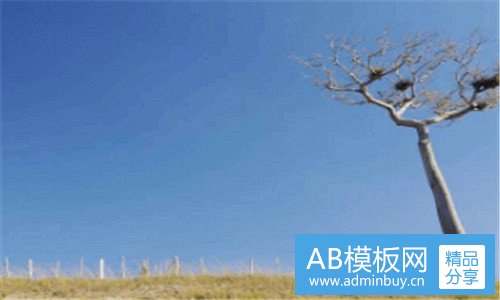 三缆车与索道抱紧原理图