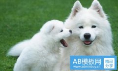 伊比利亚半岛-世界所有半岛名称地图