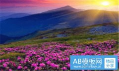 头型-头型名称大全