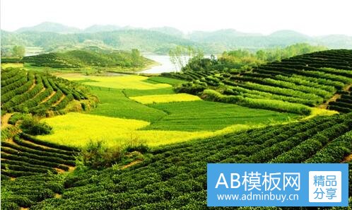 二泰国最恐怖的鬼片推荐