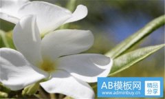 好看的泰国鬼片-史上最恐怖泰国鬼片