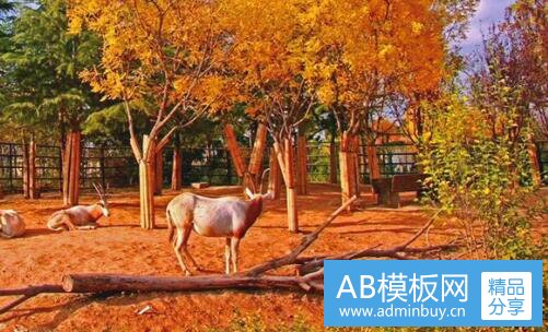 二内存条2020年什么时候跌