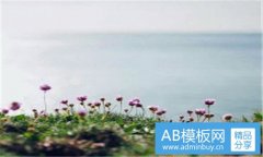 vopt-笔记本屏幕横线修复
