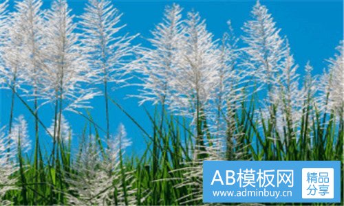 一不要辜负