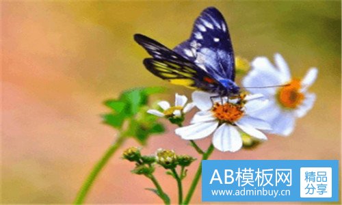 一止水头像