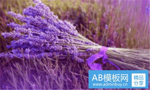 一武汉轨道交通3号线