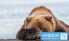 排骨莲藕汤的做法-排骨藕汤的正确做法
