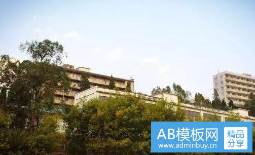 二莘庄梅园开放吗