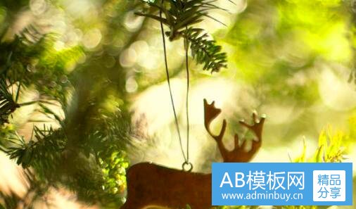 二中华新韵