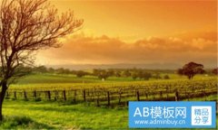 与你有关的事-温远和温行之的肉
