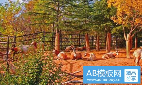 三大好时光电视剧在线全集48