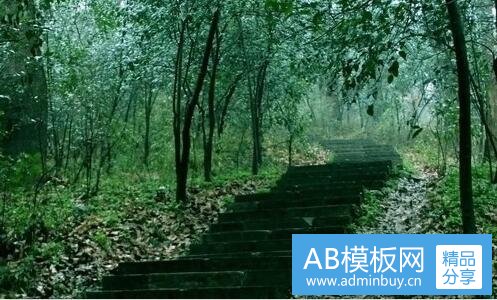 二体育馆场地