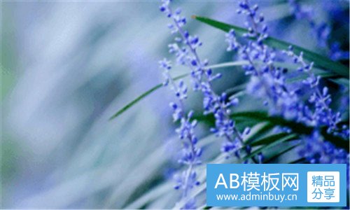 一烤牛排