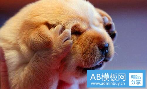 二自主考会计师证需要看什么书