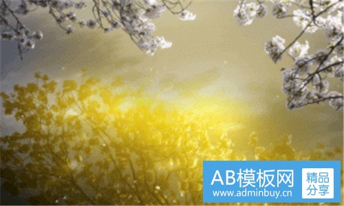 二金光湖门票价格