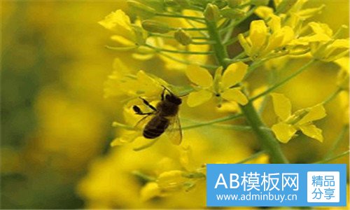 一肖荣生