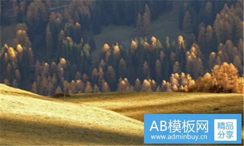 三广东企业网站推广