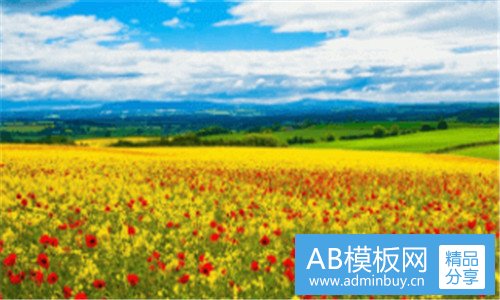 二公司招人好难啊