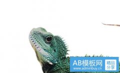 立陶宛-中国和立陶宛断绝外交