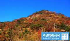纸盒包装-重庆纸箱厂招聘信息