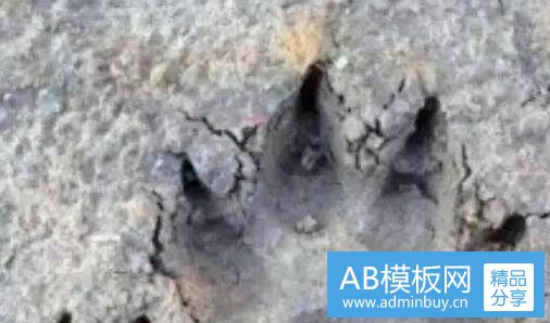 三爱心纸盒