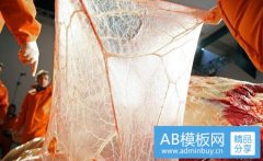 三亚天涯海角-三亚天涯海角票价格