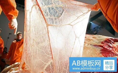 一三亚天涯海角