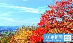 帅哥税-中国强制单身税