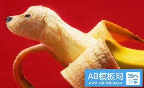 二安丘最新招工信息