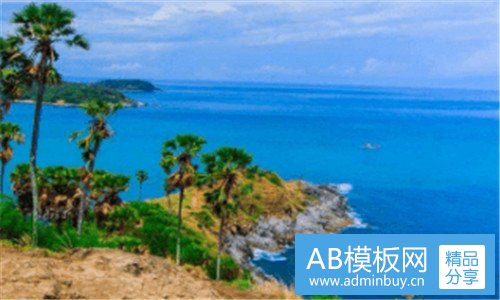 三fate巴姐动画有出场吗