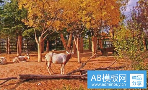 二张翰怎样评价赵丽颖