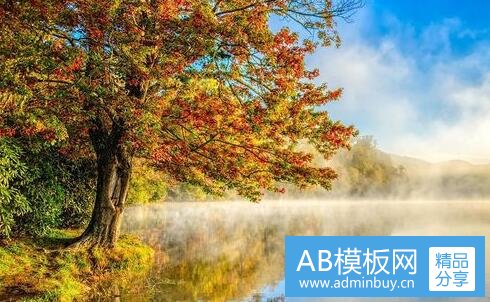 二好听高雅的宠物名字