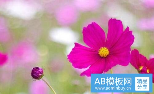 一赵县天气预报