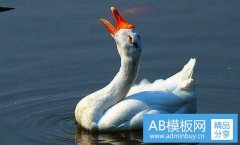 美格尔齿科-美格尔齿科招聘护士好进去嘛