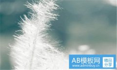 欧迪斯-肇庆欧迪斯实业有限公司官网