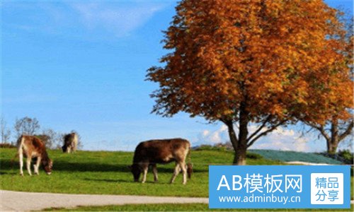 一斯里兰卡旅游