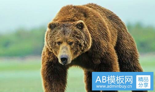 二全透明头像