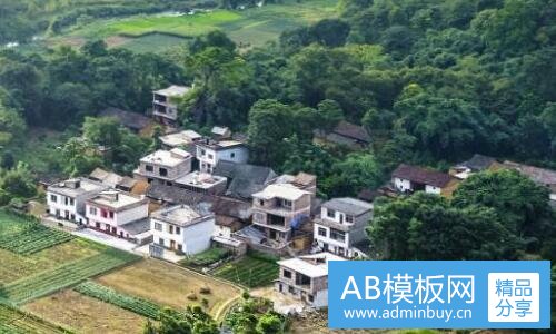 一枫树林