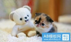 经济科学出版社-经济科学出版社待遇怎么样