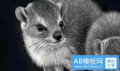 三lee牛仔裤掉色正常吗