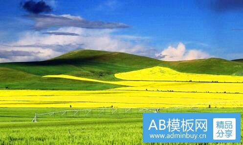 二西安花卉苗圃基地