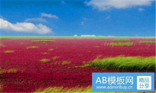 一大学军训感言