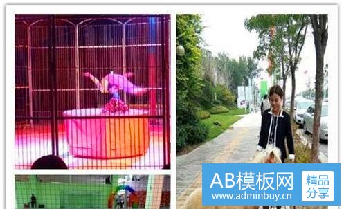 二4x2时钟天气农历小插件