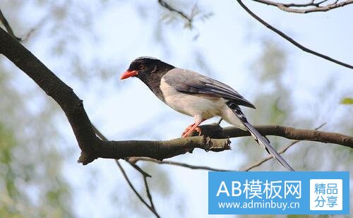 二安徽宿州招聘信息网