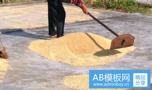 二浙江点对点教育官网